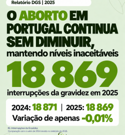 Relatório sobre a prática do aborto em Portugal em 2025
